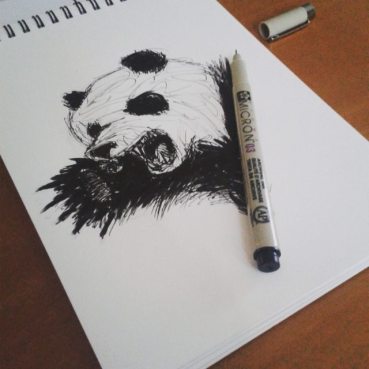 #Panda
