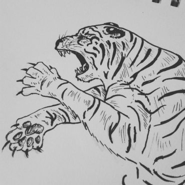 #TigerDetails